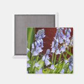 Blumen vor einer roten Mauer Magnet (Vorderseite/Rückseite)