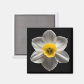 Blumen | Weiße affodische Blume Magnet (Vorderseite/Rückseite)