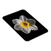 Blumen | Weiße affodische Blume Magnet (Rechte Seite)