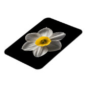 Blumen | Weiße affodische Blume Magnet (Linke Seite)