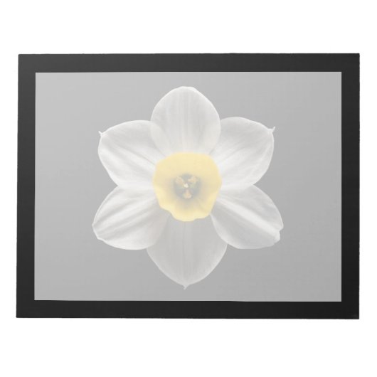 Blumen | Weiße affodische Blume Notizblock (Vorderseite)