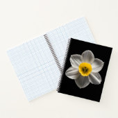 Blumen | Weiße affodische Blume Notizblock (Innenseite)