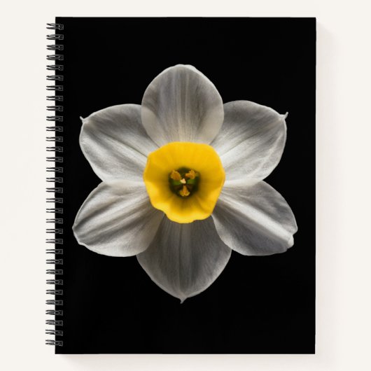 Blumen | Weiße affodische Blume Notizblock (Vorderseite)