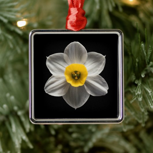 Blumen | Weiße affodische Blume Ornament Aus Metall (Baum)