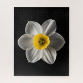Blumen | Weiße affodische Blume Puzzle (Vertikal)