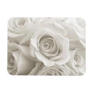 Blumen Weiße Rosen Magnet