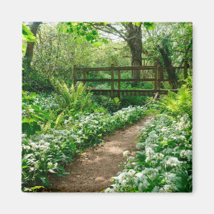 Blumen Weiße Wildblumen im Wald Magnet