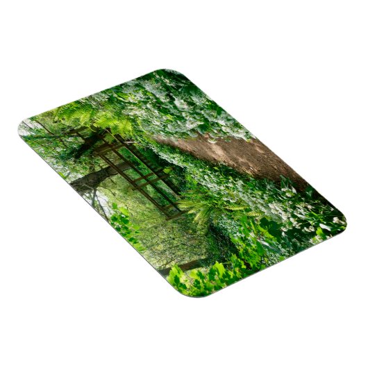 Blumen | Weiße Wildblumen im Wald Magnet (Rechte Seite)