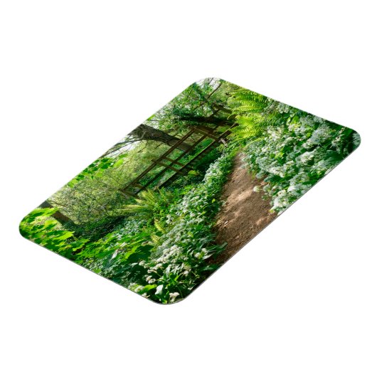 Blumen | Weiße Wildblumen im Wald Magnet (Linke Seite)