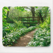 Blumen | Weiße Wildblumen im Wald Mousepad (Vorne)
