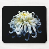 Blumen | Weißer Chrysanthemum Mousepad (Vorne)