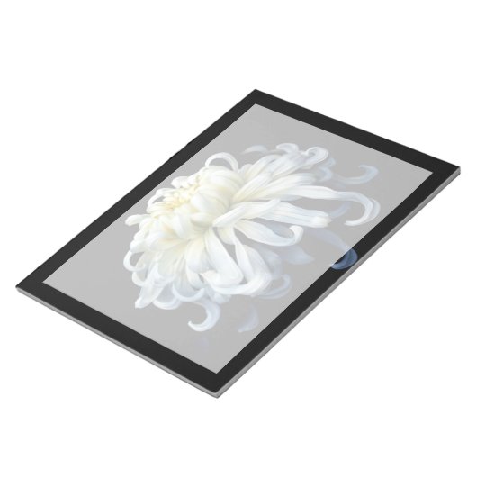 Blumen | Weißer Chrysanthemum Notizblock (angewinkelt)