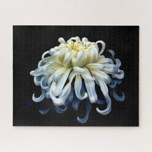 Blumen | Weißer Chrysanthemum Puzzle (Horizontal)