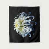 Blumen | Weißer Chrysanthemum Wandteppich (Vorderseite)