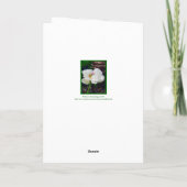 Blumen/Weißes Peony/ Danke Karte (Rückseite)