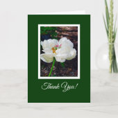 Blumen/Weißes Peony/ Danke Karte (Vorderseite)