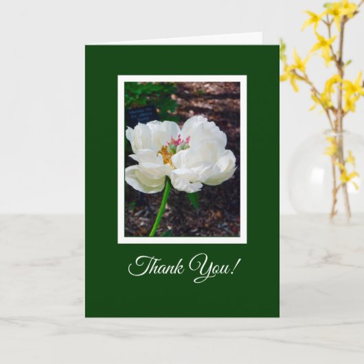 Blumen/Weißes Peony/ Danke Karte (Gelbe Blume)