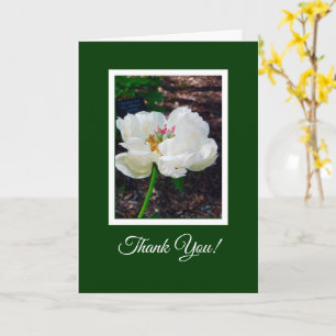 Blumen/Weißes Peony/ Danke Karte