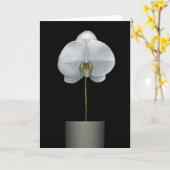 Blumen | Weißorchid-Blume Karte (Gelbe Blume)