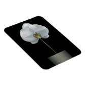Blumen | Weißorchid-Blume Magnet (Rechte Seite)