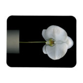 Blumen | Weißorchid-Blume Magnet (Horizontal)