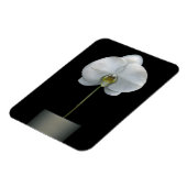 Blumen | Weißorchid-Blume Magnet (Linke Seite)