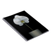 Blumen | Weißorchid-Blume Notizblock (Rechte Seite)