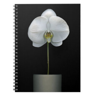 Blumen Weißorchid-Blume Notizblock