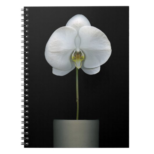 Blumen | Weißorchid-Blume Notizblock (Vorderseite)