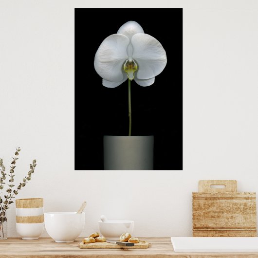 Blumen | Weißorchid-Blume Poster (Küche)