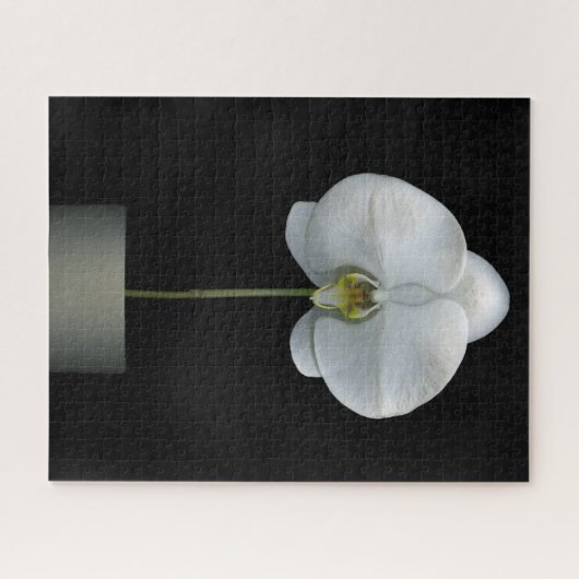 Blumen | Weißorchid-Blume Puzzle (Horizontal)