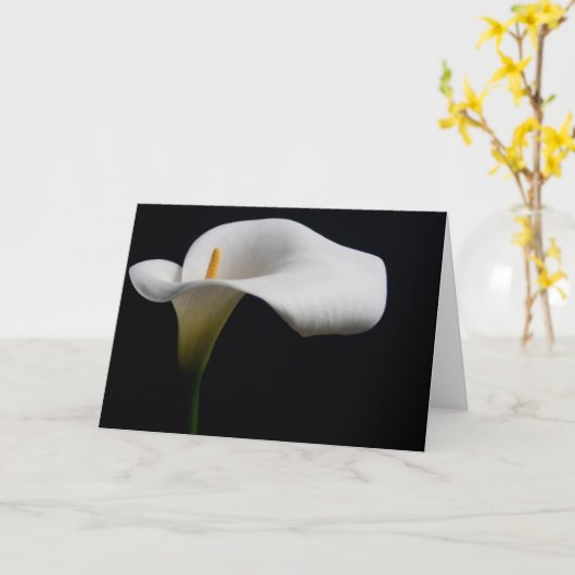 Blumen | White Calla Lily Karte (Gelbe Blume)