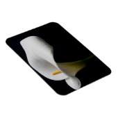 Blumen | White Calla Lily Magnet (Rechte Seite)