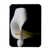 Blumen | White Calla Lily Magnet (Vertikal)