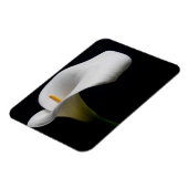 Blumen | White Calla Lily Magnet (Linke Seite)