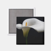 Blumen | White Calla Lily Magnet (Vorderseite/Rückseite)