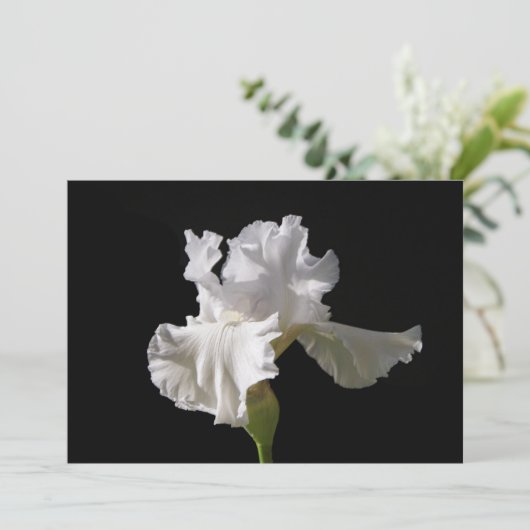 Blumen | White Iris Dankeskarte (Stehend Vorderseite)