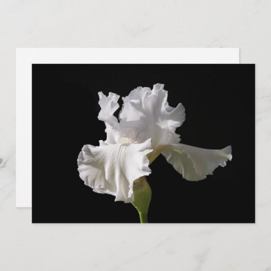 Blumen | White Iris Dankeskarte (Vorne/Hinten)
