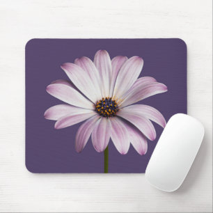 Blumen   White & Lila Daisy Mousepad