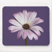 Blumen | White & Lila Daisy Mousepad (Vorne)