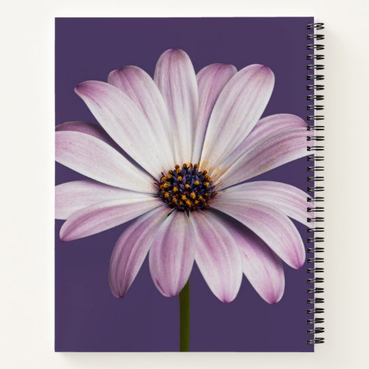 Blumen | White & Lila Daisy Notizblock (Rückseite)