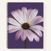 Blumen | White & Lila Daisy Notizblock (Vorderseite)