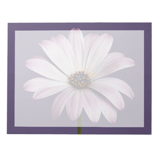 Blumen | White & Lila Daisy Notizblock (Vorderseite)