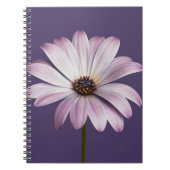 Blumen | White & Lila Daisy Notizblock (Vorderseite)