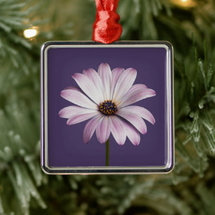 Blumen   White & Lila Daisy Ornament Aus Metall