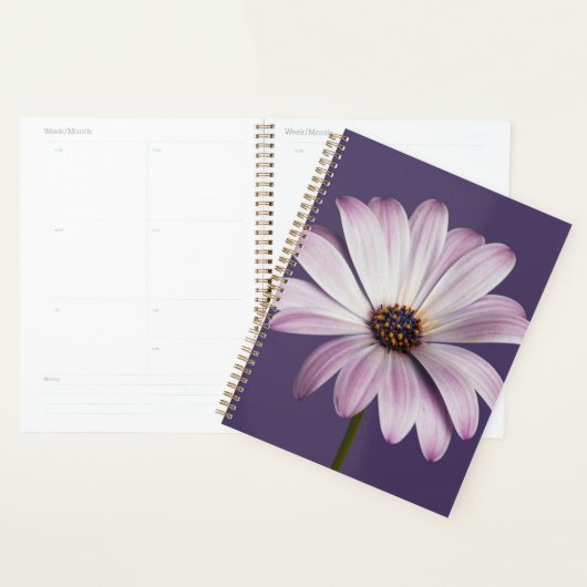Blumen | White & Lila Daisy Planer (Anzeige)