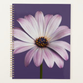Blumen | White & Lila Daisy Planer (Vorderseite)