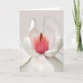 Blumen | White Magnolia Karte (Vorderseite)