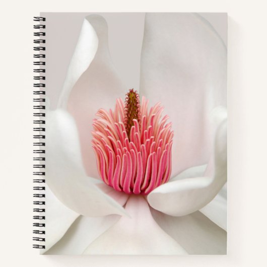 Blumen | White Magnolia Notizblock (Vorderseite)
