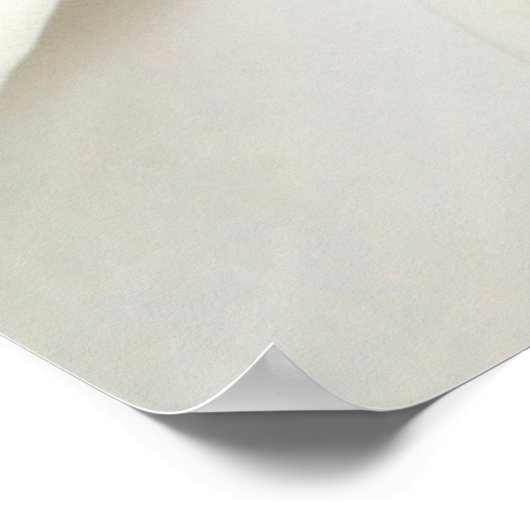 Blumen | White Magnolia Poster (Ecke)